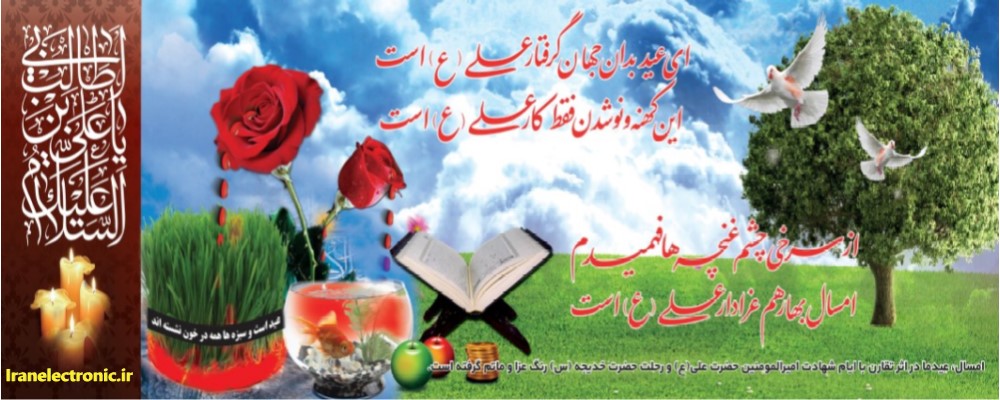 www.iranelectronic.co